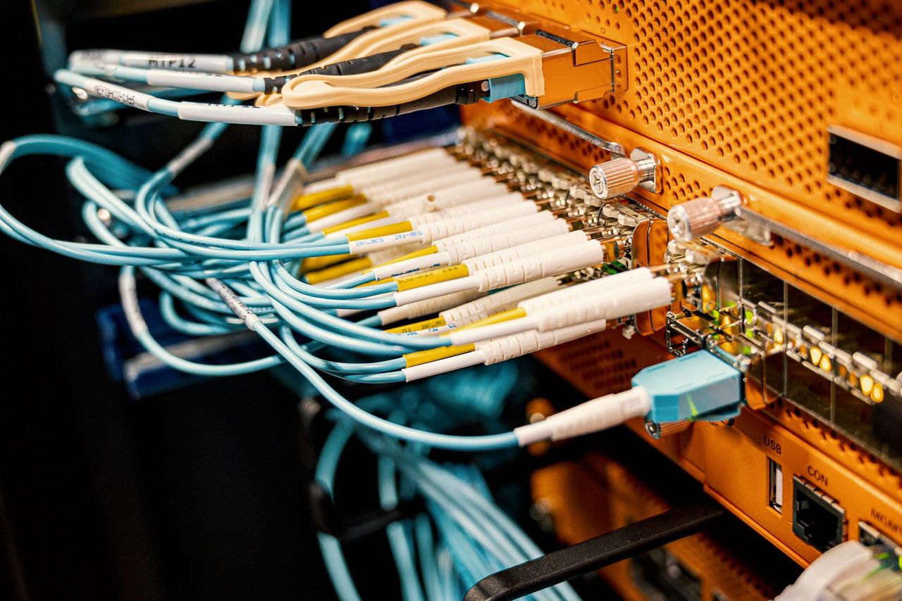 Illustration : cordons de fibre optique branchés sur un équipement réseau